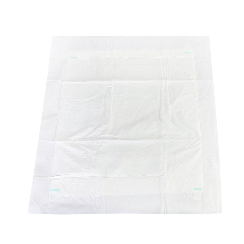 Pet Kit Tapete Higiênico Pad 30 Tapetes Un. 60 X 55 Cm - Presente Park
