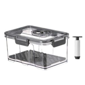 Pote Hermético com Bomba de Vácuo 2L - Cinza