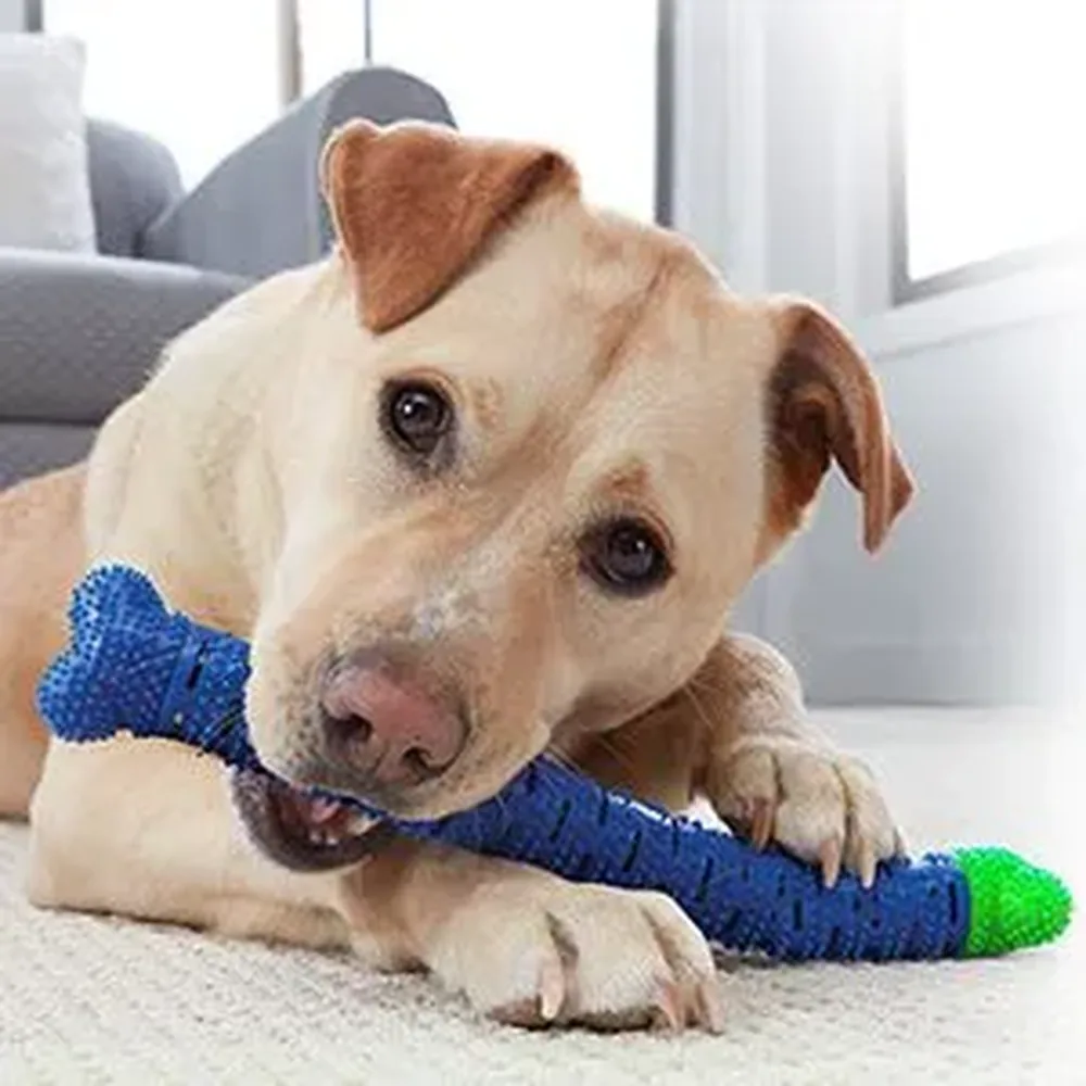 Mordedor Osso Removedor de Tártaros para Cães Cachorros Chewbrush